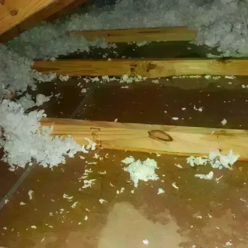 Attic Water Damage in Northport, AL